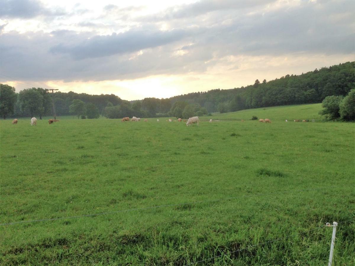 Ferienwohnung Baldus-Westerwald Mogendorf ภายนอก รูปภาพ